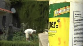 Pesticides: le Roundup "n’est pas cancérigène", assure Monsanto