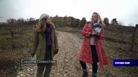 Voyons voir : zoom sur la filière du vin