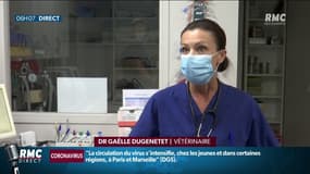 Canicule: les animaux aussi sont en souffrance rappelle Gaëlle Dujeneté, vétérinaire à Lyon