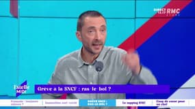 Grève à la SNCF : ras-le-bol ? Remy Barret pousse un coup de gueule sur le sujet.