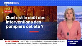 Quel est le coût des interventions des pompiers cet été? BFMTV répond à vos questions