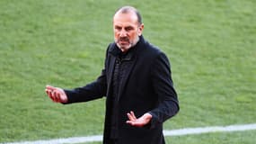 Michel Der Zakarian pendant un match de Montpellier en mars 2023
