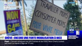 Grève du 31 janvier: forte mobilisation à Nice