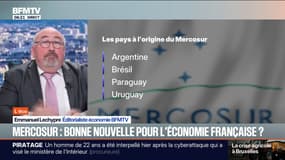 SIGNÉ BFM - Positif pour le secteur automobile, négatif pour les éleveurs de volaille... Ce qu'il faut savoir sur le Mercosur