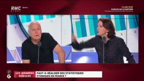 "Tu as peur qu'il y ait des noirs à l'Assemblée nationale?": débat houleux dans les "Grandes Gueules", sur la mise en place de statistiques ethniques