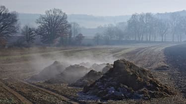 Le gouvernement veut promouvoir la production d'énergie à partir de fumier et autres déchêts agricoles.
