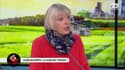 La GG du jour: Pourquoi la Caisse de dépôts est-elle si importante ? - 20/01