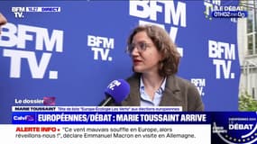 Marie Toussaint (tête de liste EELV aux élections européennes): "Ce débat, c'est pour parler d'écologie et de ce qui compte, de ce que nous avons de plus précieux, c'est à dire notre planète"