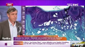 Le parti-pris : Premier cas suspect de variole du singe en Île-de-France - 20/05