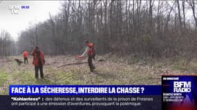 Face à la sécheresse, faut-il interdire la chasse?