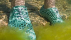 Ces chaussures sont fabriquées à base d'algues.