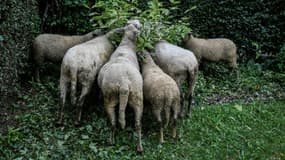 (Photo d'illustration)