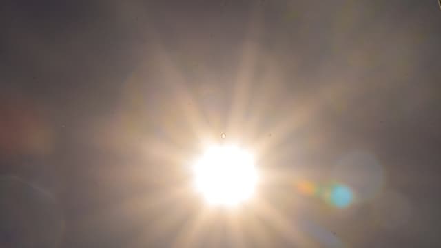 De fortes chaleurs sont attendues cette semaine dans l'Hexagone. Photo d'illustration.