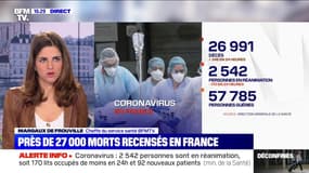 Près de 27 000 morts recensés en France