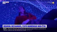 Ariane a testé l'expo numérique immersive Recharger à Meudon