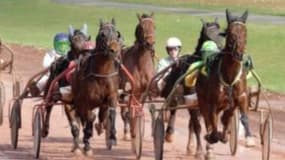Les pronos hippiques du samedi 12 novembre 2022