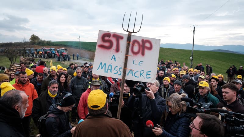 "La seule solution qui fonctionne": malgré l'opposition de centaines d'éleveurs, l'abattage de l'élevage touché en Ariège est programmé jeudi matin