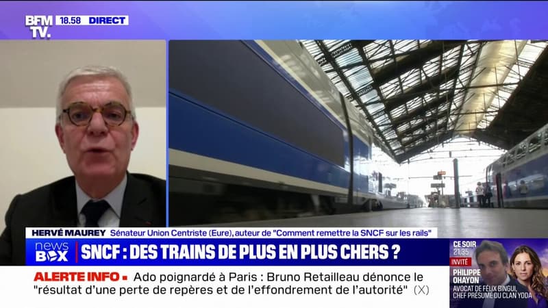 Hervé Maurey (sénateur Union Centriste), sur la SNCF: 