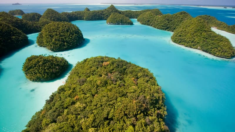 L'archipel des Palaos accepte d'accueillir des migrants expulsés des États-Unis monnayant une contrepartie de 7,5 millions de dollars