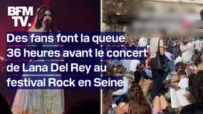 Une foule immense attend Lana Del Rey à quelques heures de son concert au festival Rock en Seine 