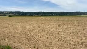 Les agriculteurs. 