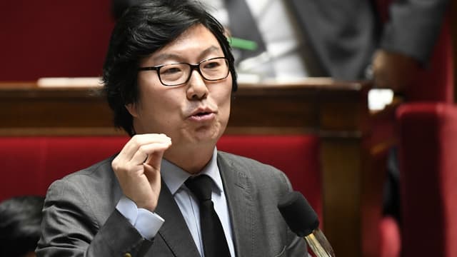 Jean-Vincent Placé à l'Assemblée nationale