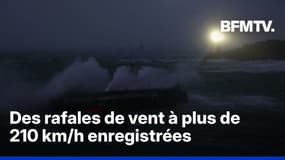 Vents violents, vagues déferlantes... Les premières images de la tempête Goretti, une rafale à 213 km/h relevée dans la Manche
