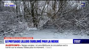Neige et verglas dans les Hauts-de-France: le paysage lillois sous la neige
