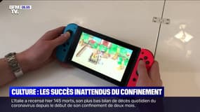 "Étés anglais", Animal Crossing, Les Goguettes... Quels ont été les succès culturels inattendus du confinement ?