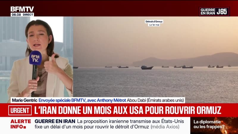 Plan proposé par l'Iran: Téhéran donne un mois aux États-Unis pour rouvrir le détroit d'Ormuz