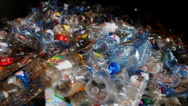 Des bouteilles en plastique dans une usine de recyclage.