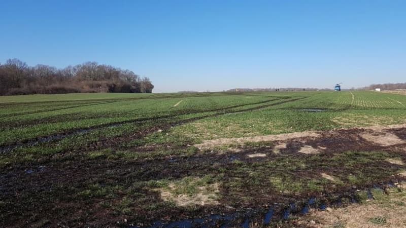 Plusieurs hectares de champs touchés par une fuite d'hydrocarbures. 