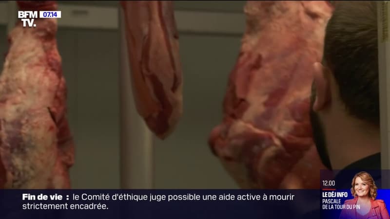 Les bouchers frappés par la crise de l'énergie