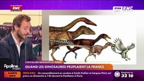 Quand les dinosaures peuplaient la France