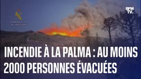  Espagne: un incendie de forêt à La Palma entraîne l'évacuation d'au moins 2000 personnes 
