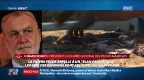 Gilles Romiti, président du Comité national des pêches maritimes