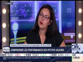 Sommet BFM Patrimoine: Alto Invest, diversifier son portefeuille avec les Small Caps - 12/09