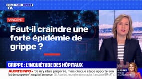 Faut-il craindre une forte épidémie de grippe ? BFMTV répond à vos questions