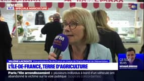Salon de l'agriculture: l'Île-de-France, un "territoire encore rural"