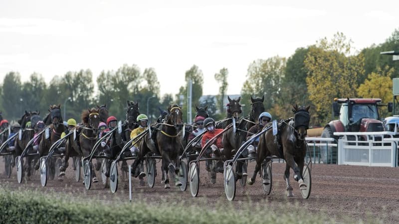 Les pronos hippiques du 18 mars 2022