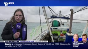 Brexit: une cinquantaine de bateaux français manifestent contre les conditions de pêche imposées par Jersey