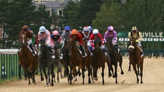 Les pronos hippiques du 27 janvier 2023
