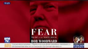 "Déséquilibré", "élève de CM2"... les collaborateurs de Trump l'accablent dans le livre "Fear" de Bob Woodward