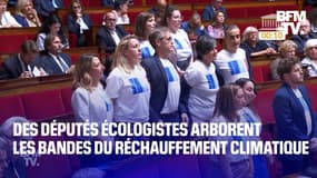 Des députés écologistes arborent les bandes du réchauffement climatique pour protester contre la planification écologique du gouvernement  