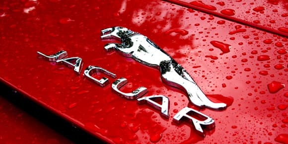 Le F-Type est digne du fameux emblème Jaguar. Le F-Type est digne du fameux emblème Jaguar.