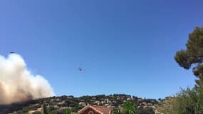 Feu Saint-Mandrier (Var) - Témoins BFMTV