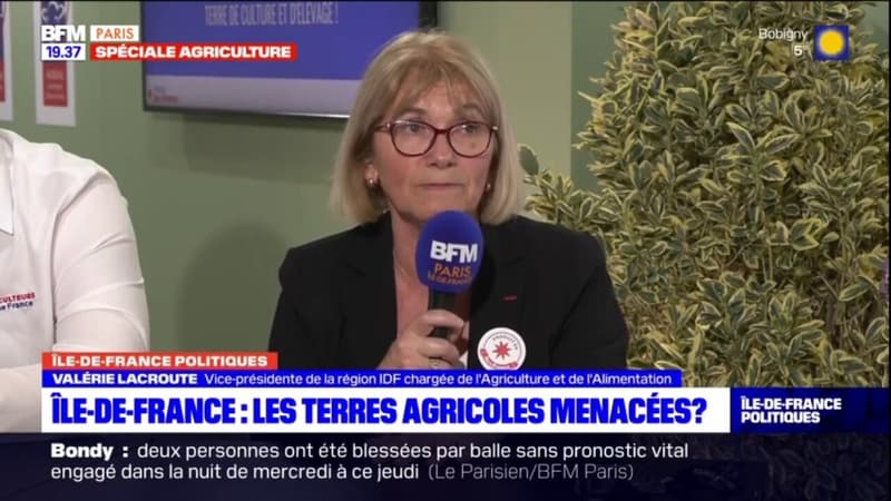 Île-de-France: les terres agricoles menacées?