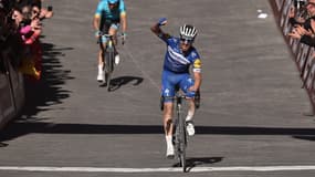 Julian Alaphilippe 