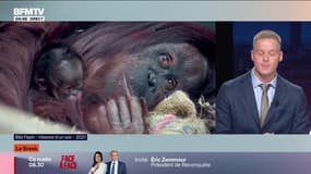 Le break du 27 octobre