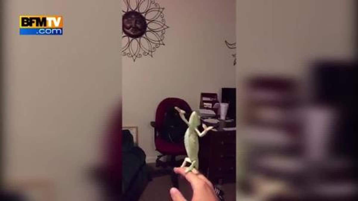 placeholder video